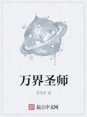 万界圣师系统