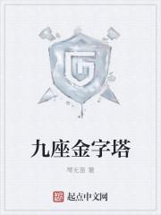 九阶金字塔魔方