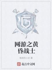 网游之黄昏战士TXT