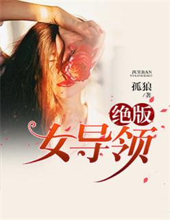 绝版女领导 第1章