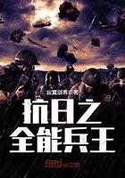 抗日之全能兵王2