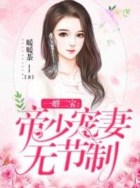 一婚二宝帝少宠妻无节制有完结榜吗