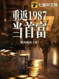 重返1987当首富李秀成TXT