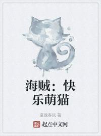 海贼快乐萌猫陆小乙是谁