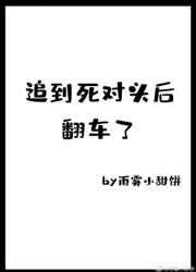 追到死对头后翻车了作者雨雾小甜饼