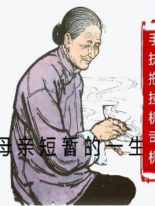 母亲一生的总结