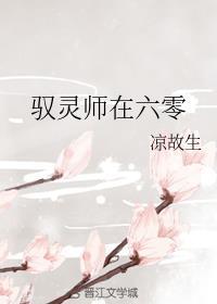 驭灵师在六零 凉故生晋江