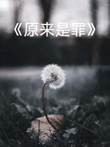 后来写的赞美诗歌